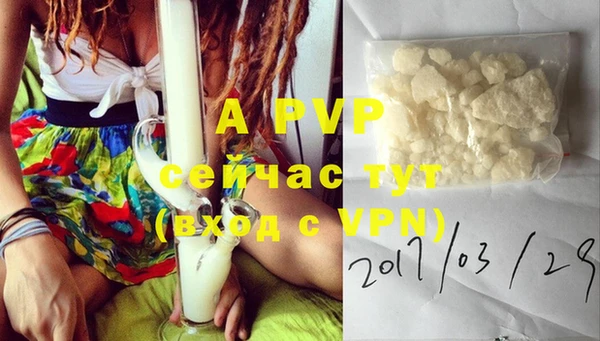 apvp Пестово